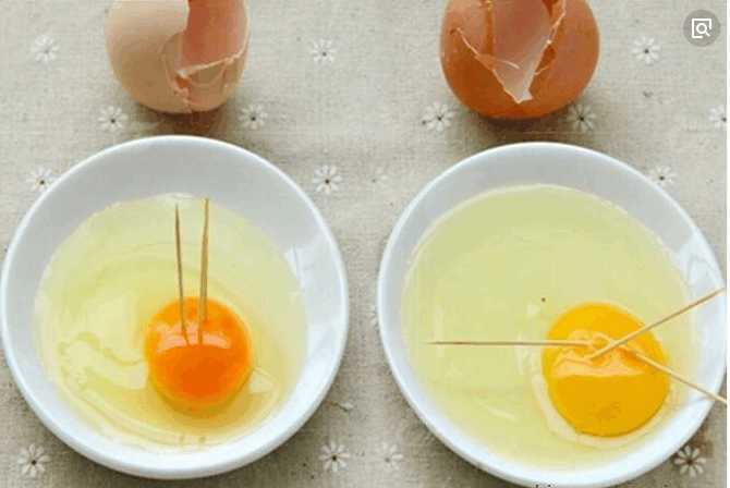 土元雞蛋盒普通雞蛋的區別