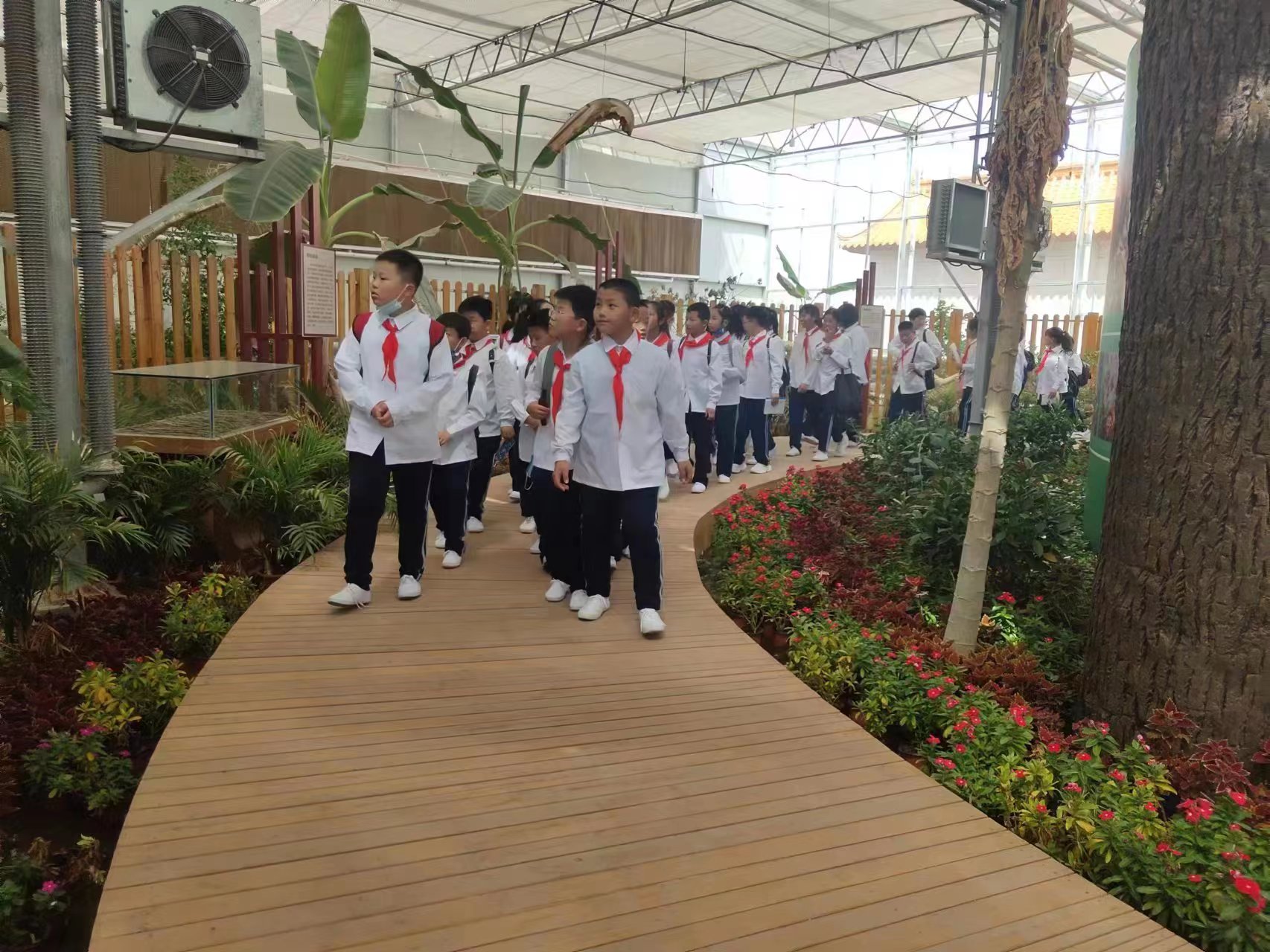 各地中小學生來茂豐金蟬科普示范基地研學