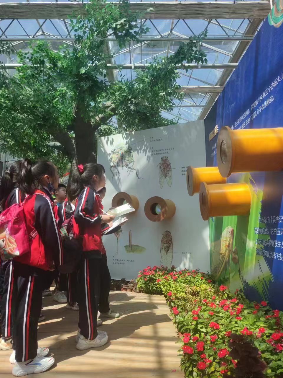 各地中小學生來茂豐金蟬科普示范基地研學